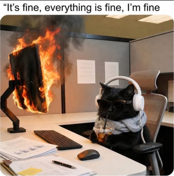 fine caturday majorgeeks.jpg